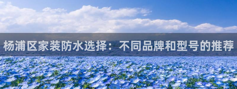 和记平台登录：杨浦区家装防水选择：不同品牌和型号的推荐