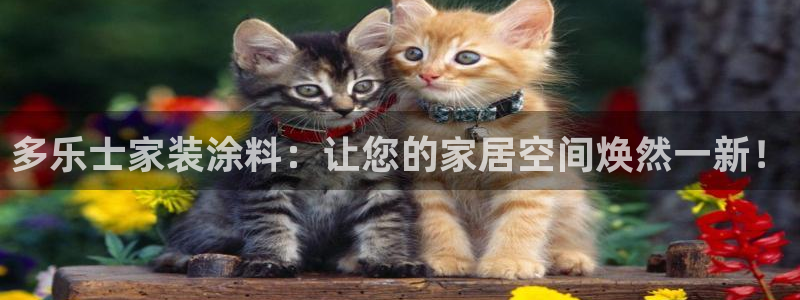 和记ag：多乐士家装涂料：让您的家居空间焕然一新！