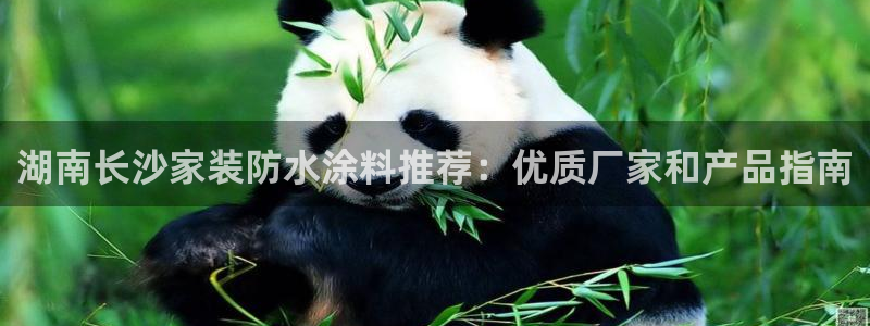 和记平台下载：湖南长沙家装防水涂料推荐：优质厂家和产品指南