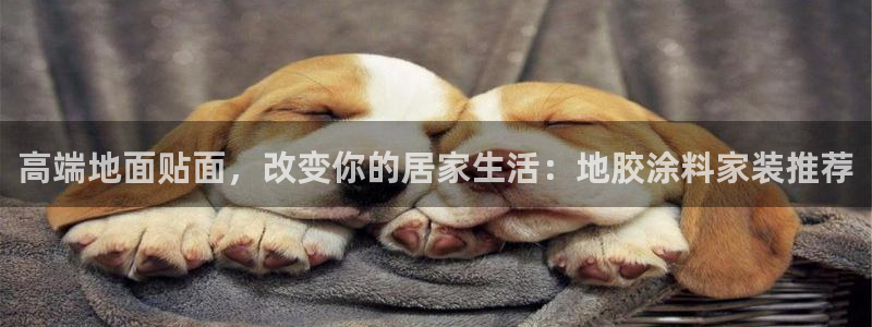 和记注册有什么送的：高端地面贴面，改变你的居家生活：地胶涂料家装推荐