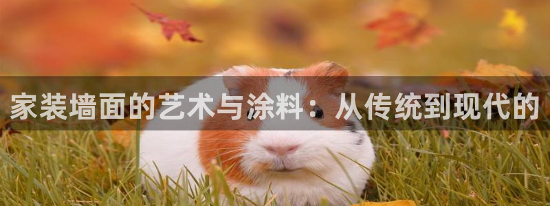 和记登陆：家装墙面的艺术与涂料：从传统到现代的