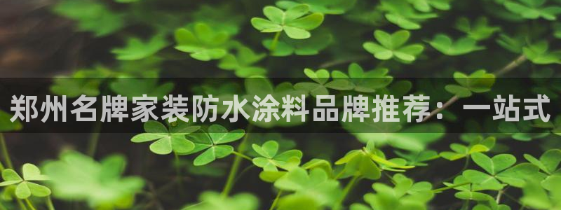 和记5g电讯：郑州名牌家装防水涂料品牌推荐：一站式