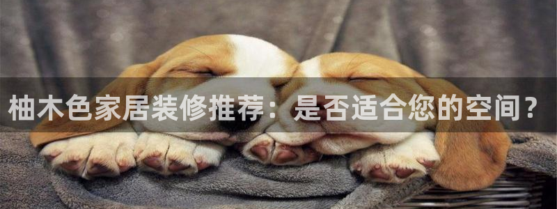 ag和记app：柚木色家居装修推荐：是否适合您的空间？