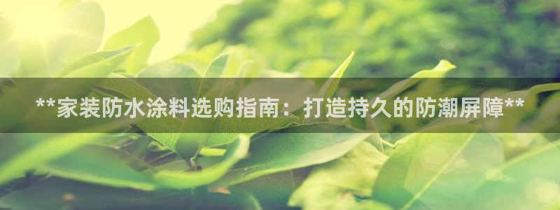 江苏和记数码科技有限公司：**家装防水涂料选购指南：打造持久的防潮屏障**