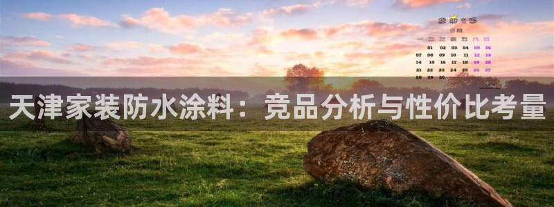 和记app官网：天津家装防水涂料：竞品分析与性价比考量