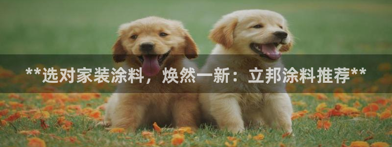 和记 中国首页：**选对家装涂料，焕然一新：立邦涂料推荐**