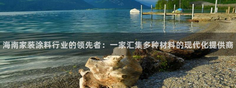 和记平台注册：海南家装涂料行业的领先者：一家汇集多种材料的现代化提供商