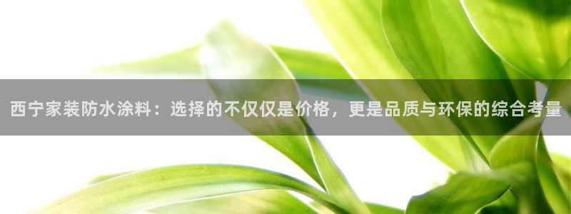 和记平台怎么样：西宁家装防水涂料：选择的不仅仅是价格，更是品质与环保的综合考量
