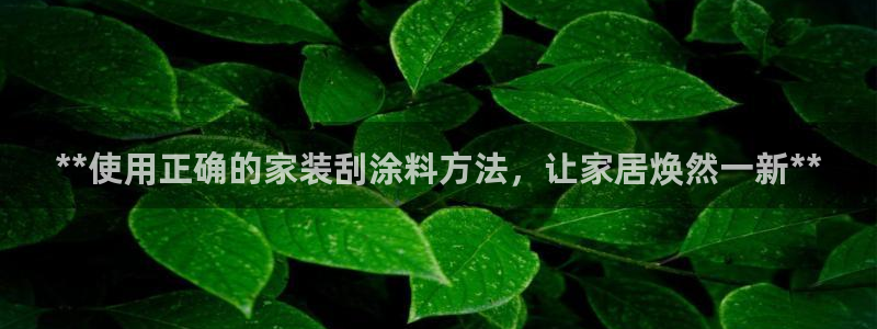 和记网页版：**使用正确的家装刮涂料方法，让家居焕然一新**