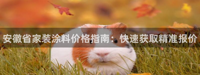 和记ag旗舰厅app